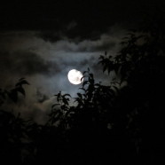 La Lumière de la Lune