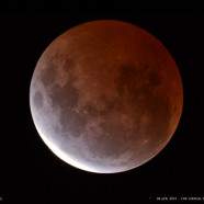 Moondrops