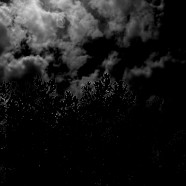 A Blustery Night