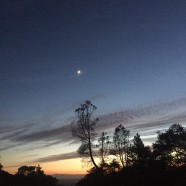 August, Comes the Night