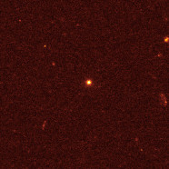 Cosmos Echoes