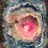 Cosmos Echoes